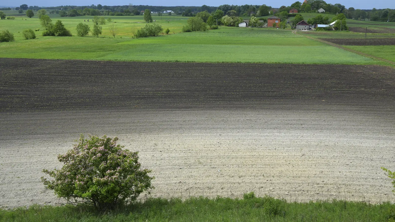 Plik:Polskie Towarzystwo Gleboznawcze.jpg